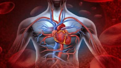 Photo of खराब ब्लड सर्कुलेशन होने पर दिखाई देते हैं ये 6 लक्षण