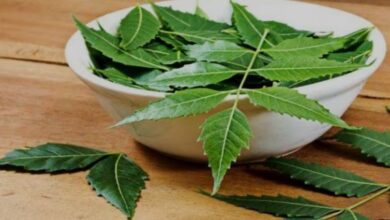 Photo of नीम की पतियाँ करेगी बीमारियों से रक्षा