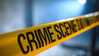 Photo of पंजाब: गुरु नानक नगर में सालाना मेले में युवकों ने किया हमला, एक की मौत, तीन घायल