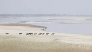 Photo of सिंधु नदी का 80 फीसदी पानी सूखा; 12 लाख लोग पाक से पलायन को मजबूर