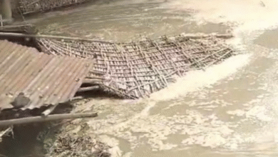 Photo of बिहार: गंगा कटाव से कटिहार में दहशत, दर्जनों घर नदी में समाए