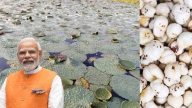 Photo of बिहार: पीएम मोदी ने सीमांचल के किसानों को दी बड़ी सौगात