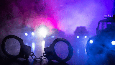 Photo of मामा की हत्या, कुल्हाड़ी से काट डाली गर्दन