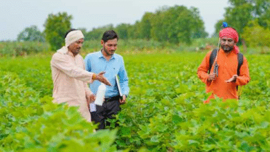 Photo of 3.3 अरब डॉलर के साथ भारत बना तीसरा सबसे बड़ा कृषि रसायन निर्यातक