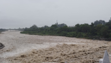 Photo of बिहार के 38 जिलों में आठ सितंबर तक बारिश के आसार…