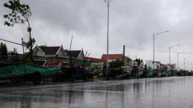 Photo of 7 घंटे तक तटों पर चक्रवाती तूफान बुआलोई, वियतनाम में तबाही से 1 की मौत और 12 लापता