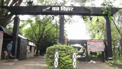 Photo of मध्य प्रदेश: वन विहार में इसी महीने बंद होगा निजी वाहनों का प्रवेश