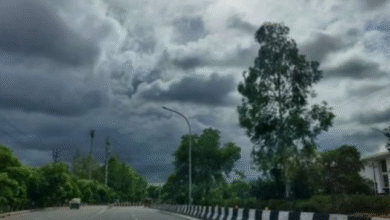 Photo of मध्य प्रदेश में ठंड ने दी दस्तक, पारा 13.5 डिग्री तक गिरा