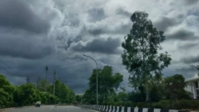 Photo of मध्य प्रदेश में उत्तरी हवाओं का असर, तापमान में आई गिरावट