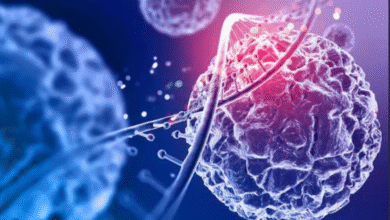 Photo of अब बैक्टीरिया को ‘हैक’ करके होगा कैंसर का इलाज जाने कैसे