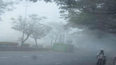 Photo of बिहार में ठंड की दस्तक, नवंबर में कैसा रहेगा मौसम जानें
