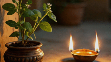 Photo of मोक्षदा एकादशी पर करें तुलसी से जुड़े उपाय