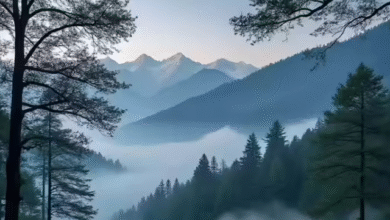 Photo of उत्तराखंड में दिन में चटक धूप तो रात में ठिठुरन भरी ठंड