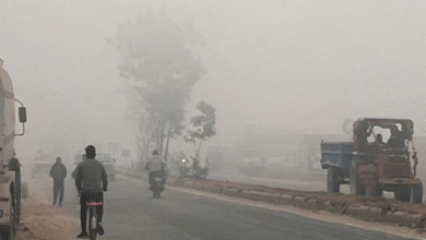 Photo of पंजाब में पारा 2.9 डिग्री पहुंचा: आज से दो दिन सात जिलों में कोल्ड वेव का अलर्ट