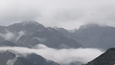 Photo of अब और बढ़ेगी ठंड…आज पहाड़ों में बारिश-बर्फबारी के आसार