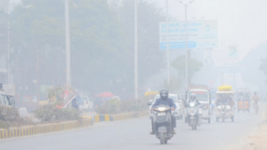 Photo of पंजाब में घने कोहरे का ऑरेंज अलर्ट: रात का पारा 1.5 डिग्री गिरा, गुरदासपुर रहा सबसे ठंडा