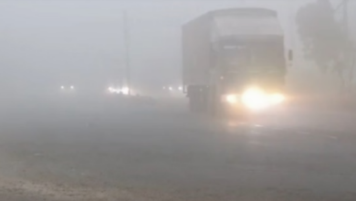 Photo of पंजाब में शीतलहर का प्रकोप: घने कोहरे में लिपटे शहर, पारा सामान्य से 1.7 डिग्री नीचे गिरा
