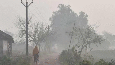 Photo of हरियाणा में कड़ाके की ठंड, न्यूनतम तापमान में गिरावट 