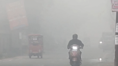 Photo of उत्तर प्रदेश में हर दिन बढ़ रही ठंड, कई जिलों में कोहरे की चादर