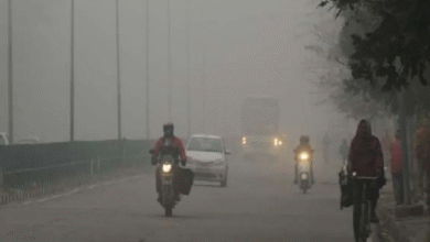 Photo of हरियाणा में आज भी शीतलहर की चेतावनी