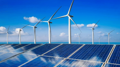 Photo of हरियाणा के झज्जर से खुला ग्रीन एनर्जी का नया गलियारा