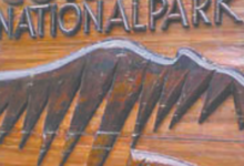 Photo of उत्तराखंड: नए साल पर कड़ी होगी वनों की सुरक्षा