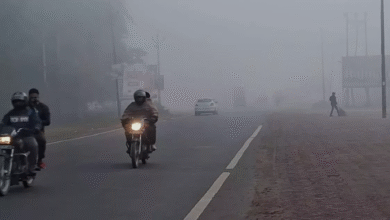 Photo of पंजाब में ठंड से राहत, सुबह-शाम हल्की होगी धुंध