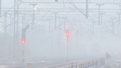 Photo of ठंड से कंपकपाया पंजाब: कोहरे के साथ चली शीत लहर से बढ़ी ठिठुरन