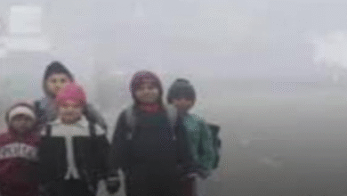Photo of हरियाणा के कई जिलों में घना कोहरा, तापमान में भारी गिरावट