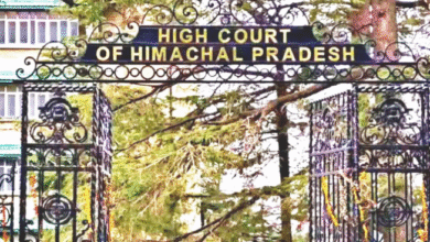 Photo of कूनो नेशनल पार्क में सीएम मोहन यादव द्वारा जंगल में छोड़े गए चीता