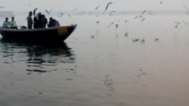 Photo of यूपी: प्रदेश में भीषण शीतलहर, 22 जिलों में कोहरे और अत्यधिक सर्दी का अलर्ट जारी