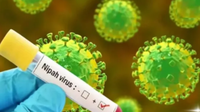 Photo of निपाह अलर्ट : कोलकाता के अलीपुर जू में चमगादड़ों के सैंपल की जांच शुरू