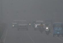 Photo of पंजाब में सर्दी का सितम: शीतलहर से कांपे लोग, एसबीएस नगर जमाव बिंदु पर