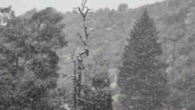 Photo of देहरादून में आज बारिश की चेतावनी, 12वीं तक के स्कूल बंद, बर्फबारी को लेकर ऑरेंज अलर्ट