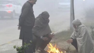 Photo of  बिहार के 19 जिलों का पारा आठ डिग्री से नीचे, ठंड और बढ़ेगी