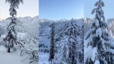 Photo of पहाड़ों पर हिमस्खलन, मैदान में बारिश-ओलावृष्टि से गिरा पारा; सर्द हवाओं से दिल्ली में ठिठुरन