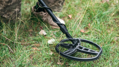 Photo of दिल्ली के स्कूलों में मिली बम की धमकी, मचा हड़कंप, जांच में जुटी पुलिस