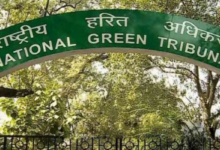 Photo of हरियाली की सौगात: नीलोठी गांव को मिलेगी शुद्ध हवा, लगाए गए एक हजार पौधे