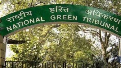 Photo of हरियाली की सौगात: नीलोठी गांव को मिलेगी शुद्ध हवा, लगाए गए एक हजार पौधे