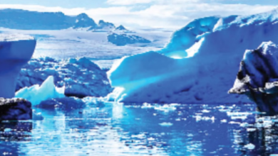 Photo of जलवायु परिवर्तन से मध्य हिमालय की जैव विविधता पर मंडरा रहा खतरा, बारिश का बदला स्वरूप