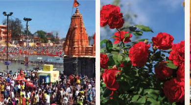 Photo of सिंहस्थ के लिए 4200 हेक्टेयर में होगी फूलों की खेती, विशेष क्लस्टर बनेगा