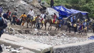 Photo of केदारनाथ यात्रा से पहले घोड़ा-खच्चरों का पंजीकरण शुरू