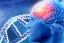 Photo of  अब दिमाग को नुकसान पहुंचने से पहले ही पकड़ में आ सकेगी बीमारी