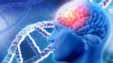 Photo of अब दिमाग को नुकसान पहुंचने से पहले ही पकड़ में आ सकेगी बीमारी