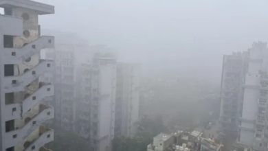 Photo of दिल्ली NCR में घना कोहरा, 10 राज्यों में आंधी-बारिश का अलर्ट, IMD ने जारी की चेतावनी