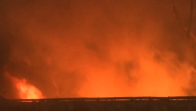 Photo of पैसिफिक मॉल में बन रहे थिएटर में लगी आग, दमकलकर्मी मौके पर पहुंचे, काबू पाने की कोशिश