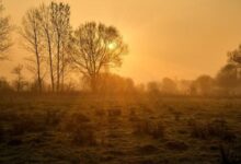 Photo of पंजाब में बदला मौसम का मिजाज, मार्च में ही तेज गर्मी की दस्तक