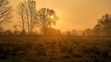 Photo of पंजाब में बदला मौसम का मिजाज, मार्च में ही तेज गर्मी की दस्तक