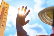 Photo of हरियाणा में सबसे अधिक तापमान महेंद्रगढ़ में 36.2 डिग्री रिकॉर्ड किया