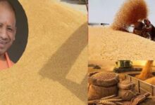 Photo of  30 मार्च से गेंहू की होगी खरीद, सरकार ने प्रति क्विंटल की दर से बढ़ाई है MSP